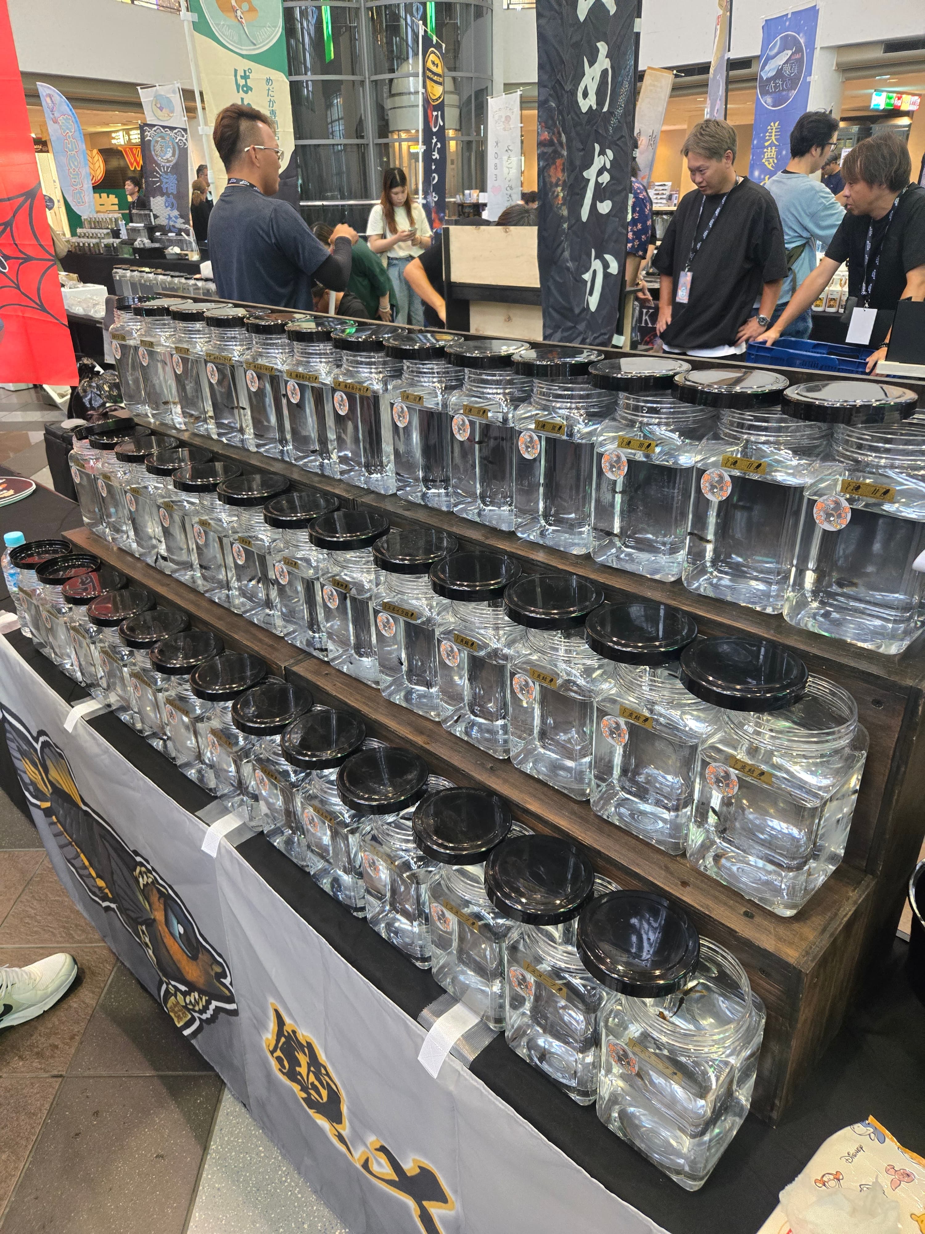 代表の選別風景