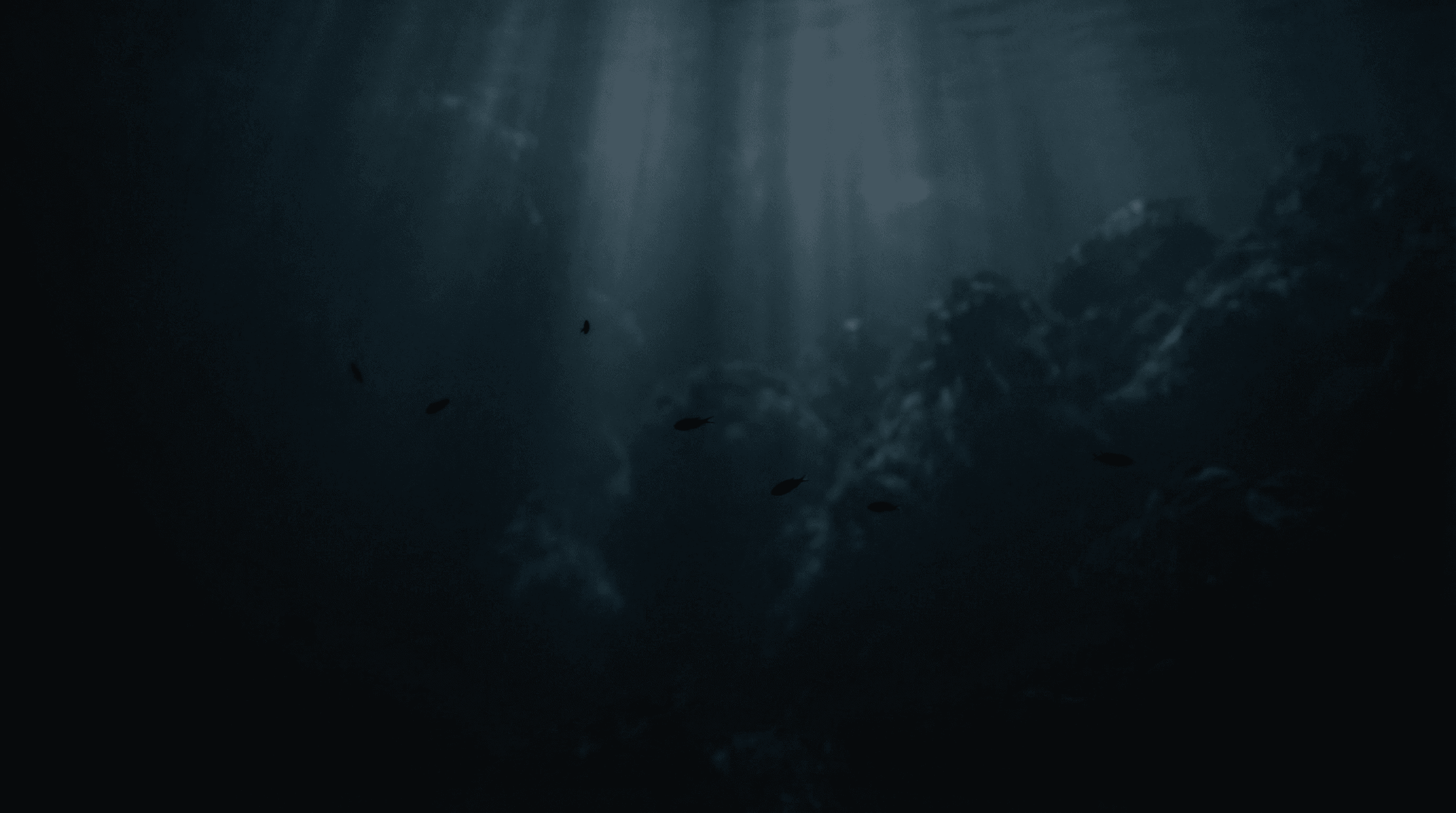 メダカのシルエット